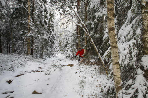 11. Desember 2024
 Hero