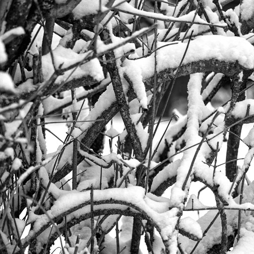 21. Desember 2021
 Hero