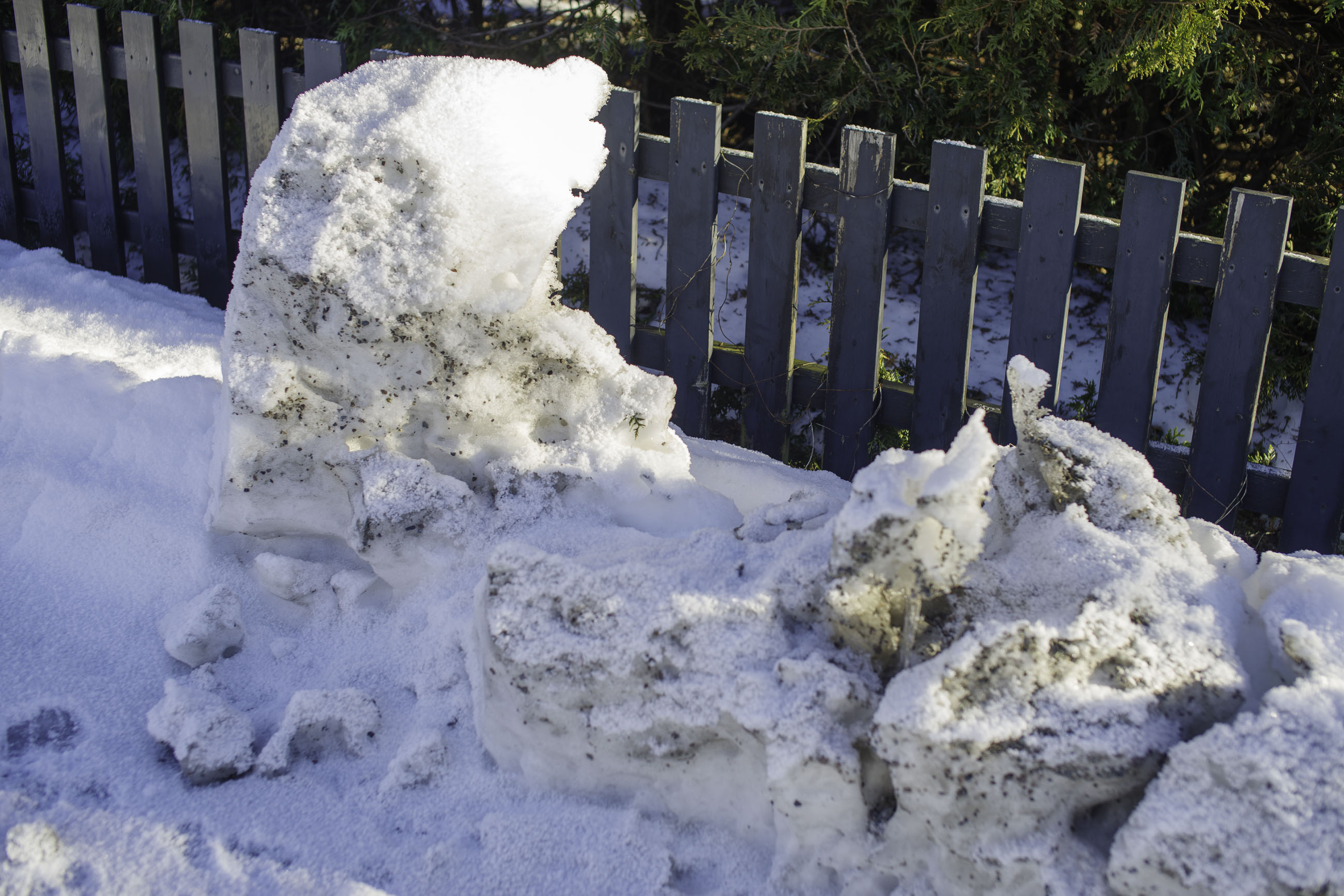 20250211---12;44;13-Bw-K1__2826_.jpg 20250211---12;44;13-Bw-K1__2826_.jpg