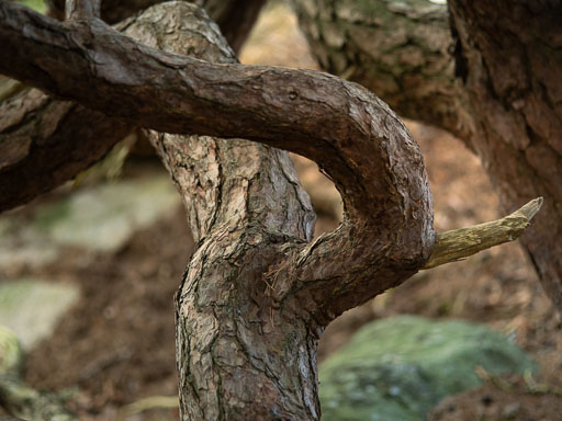 19. Febrúar 2025
 Hero