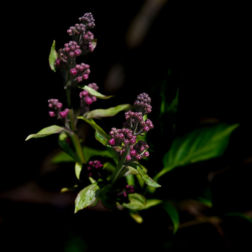 7. og 8. Mai 2025
 Hero