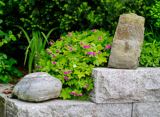 Blómin á Bakke Söndre
 Hero