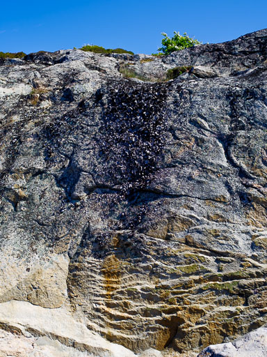 20. Júní 2025
 Hero