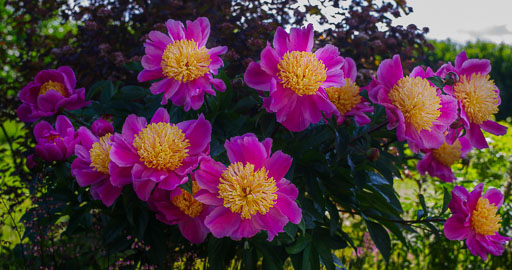 29 Júní 2025
 Hero