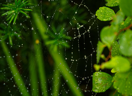 Heima 13. ágúst 2025
 Hero