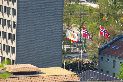 _IGP7336.jpg