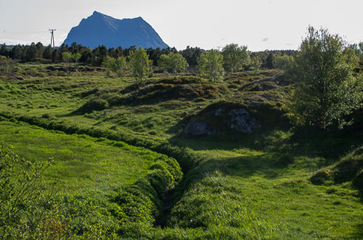 IMGP3192.jpg