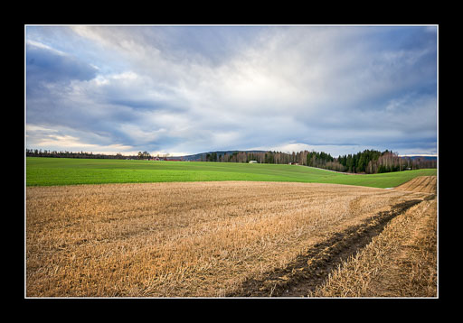 IMGP5287-Edit.jpg