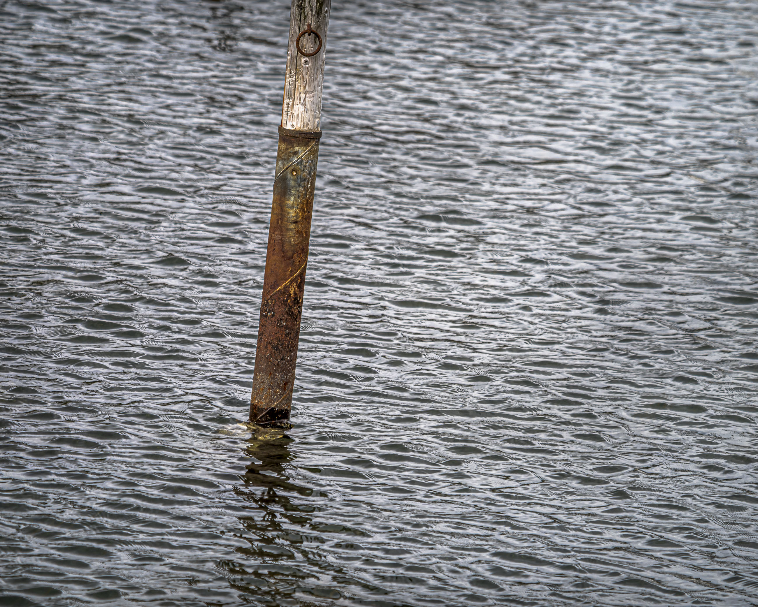 K1__4551.jpg