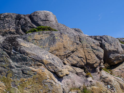 _IMG5790.jpg