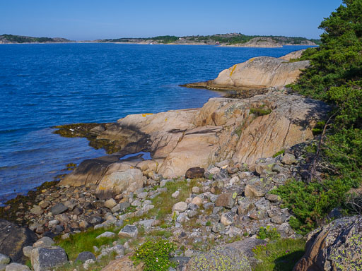 _IMG5916.jpg