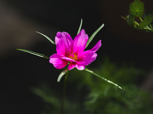 _IMG6151.jpg