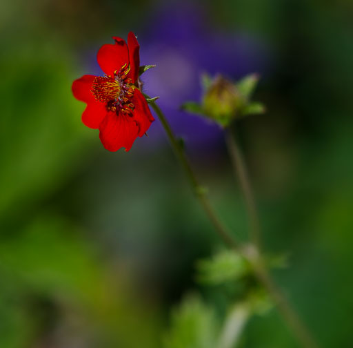 _IMG6191.jpg