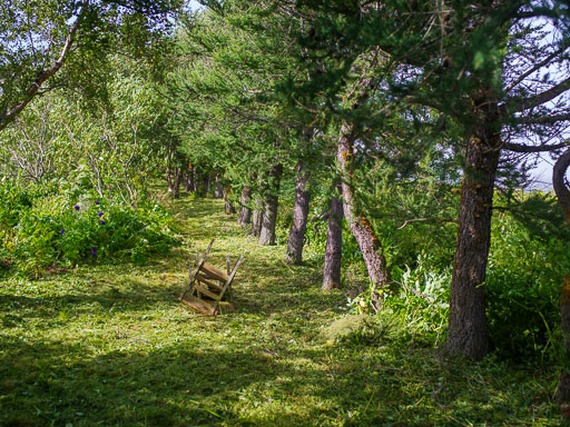 _IMG6778.jpg