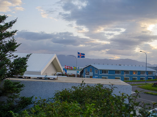 _IMG6781.jpg