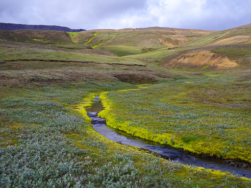 _IMG6781.jpg