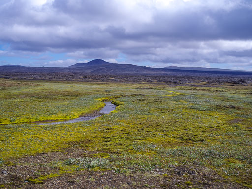 _IMG6784.jpg