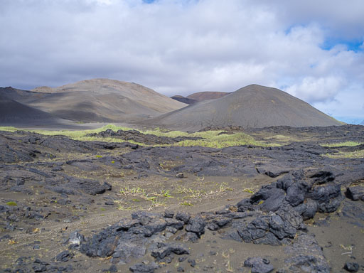 _IMG6790.jpg