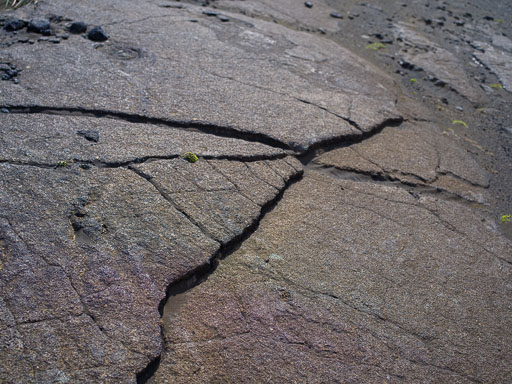 _IMG6801.jpg