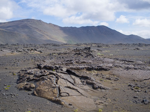 _IMG6807.jpg