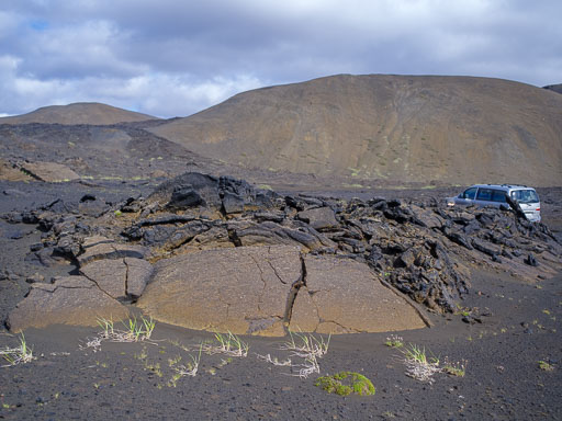 _IMG6813.jpg