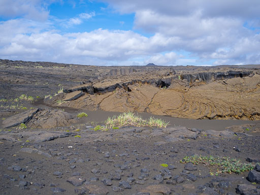 _IMG6815.jpg
