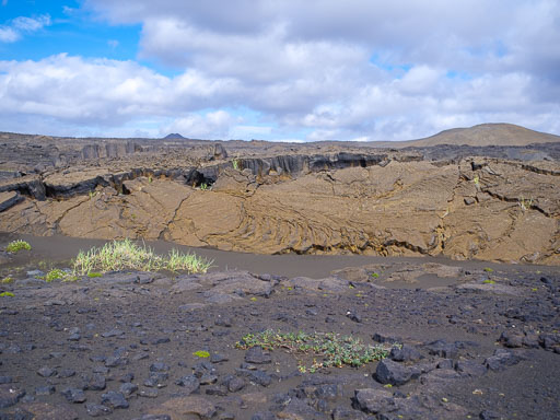 _IMG6816.jpg