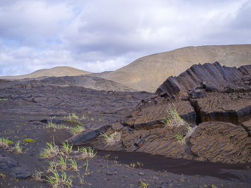 _IMG6818.jpg