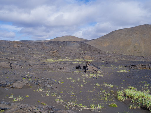_IMG6828.jpg