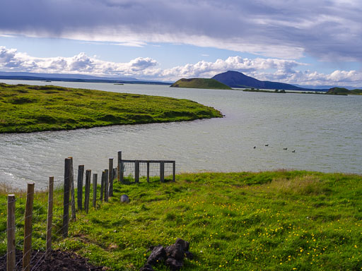 _IMG6837.jpg
