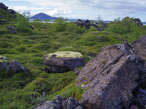 _IMG6842.jpg