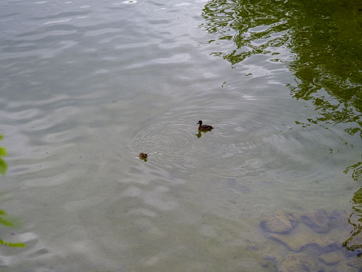 _IMG6854.jpg