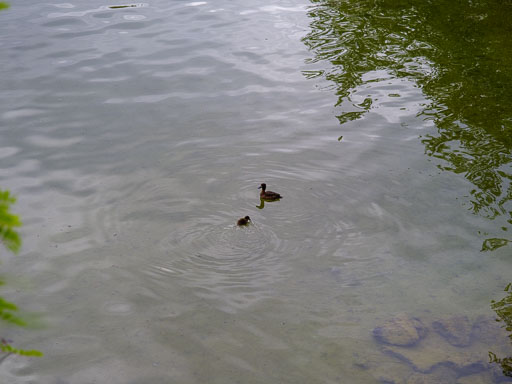 _IMG6855.jpg
