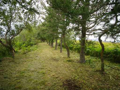 _IMG6906.jpg