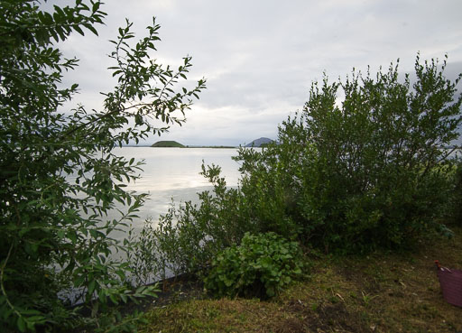 _IMG6912.jpg
