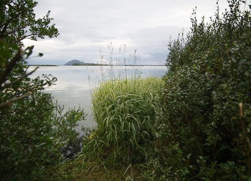 _IMG6913.jpg