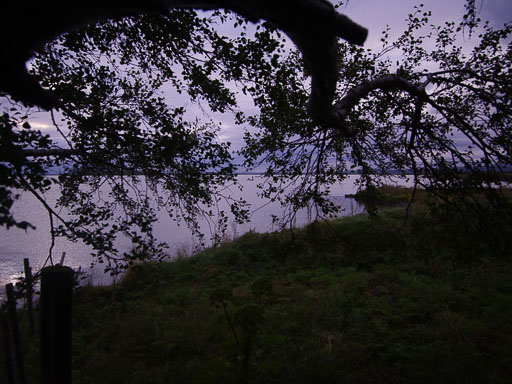 _IMG6955.jpg