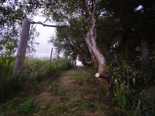 _IMG6960.jpg