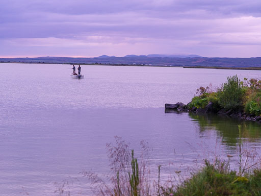 _IMG6967.jpg