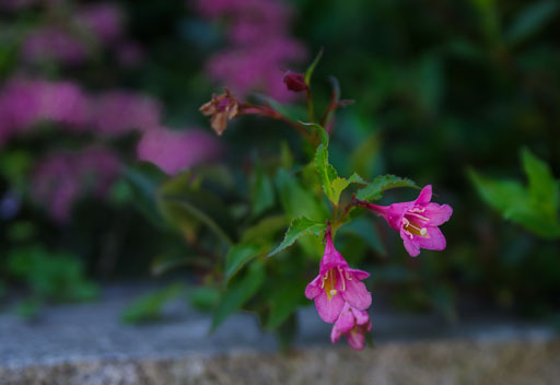 K1__5420.jpg