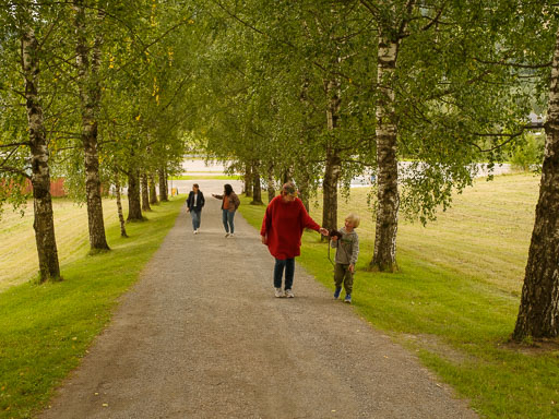 24. 08 2025 Aulestad Gausdal
 Hero