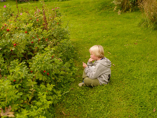 24. 08 2025 Aulestad Gausdal
 Hero
