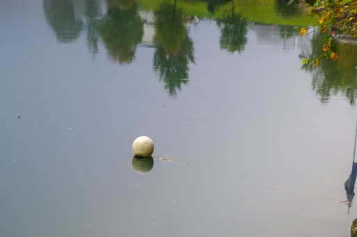 K1__5494.jpg
