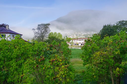 K1__5517.jpg