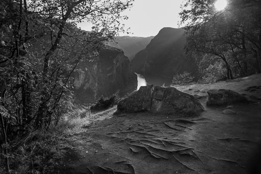 K1__5548_v1.jpg
