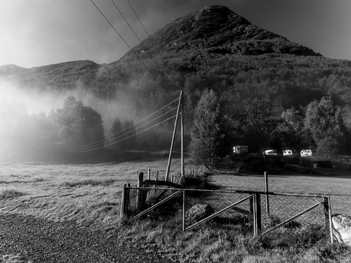 _IMG7915_v1.jpg