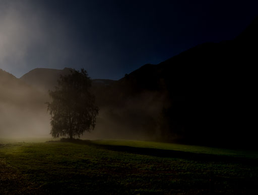 _IMG7918.jpg