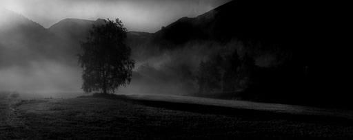 _IMG7919_v1.jpg