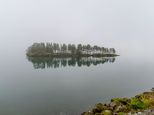 _IMG7943.jpg