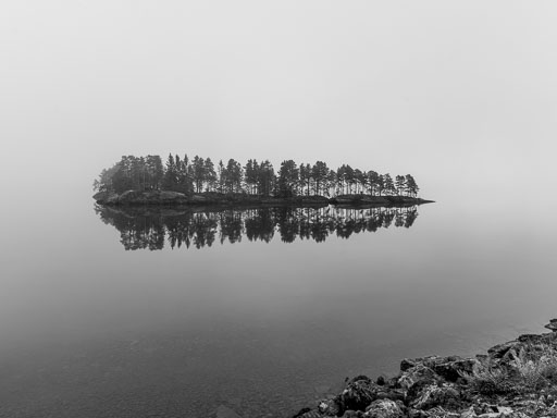 _IMG7943_v1.jpg